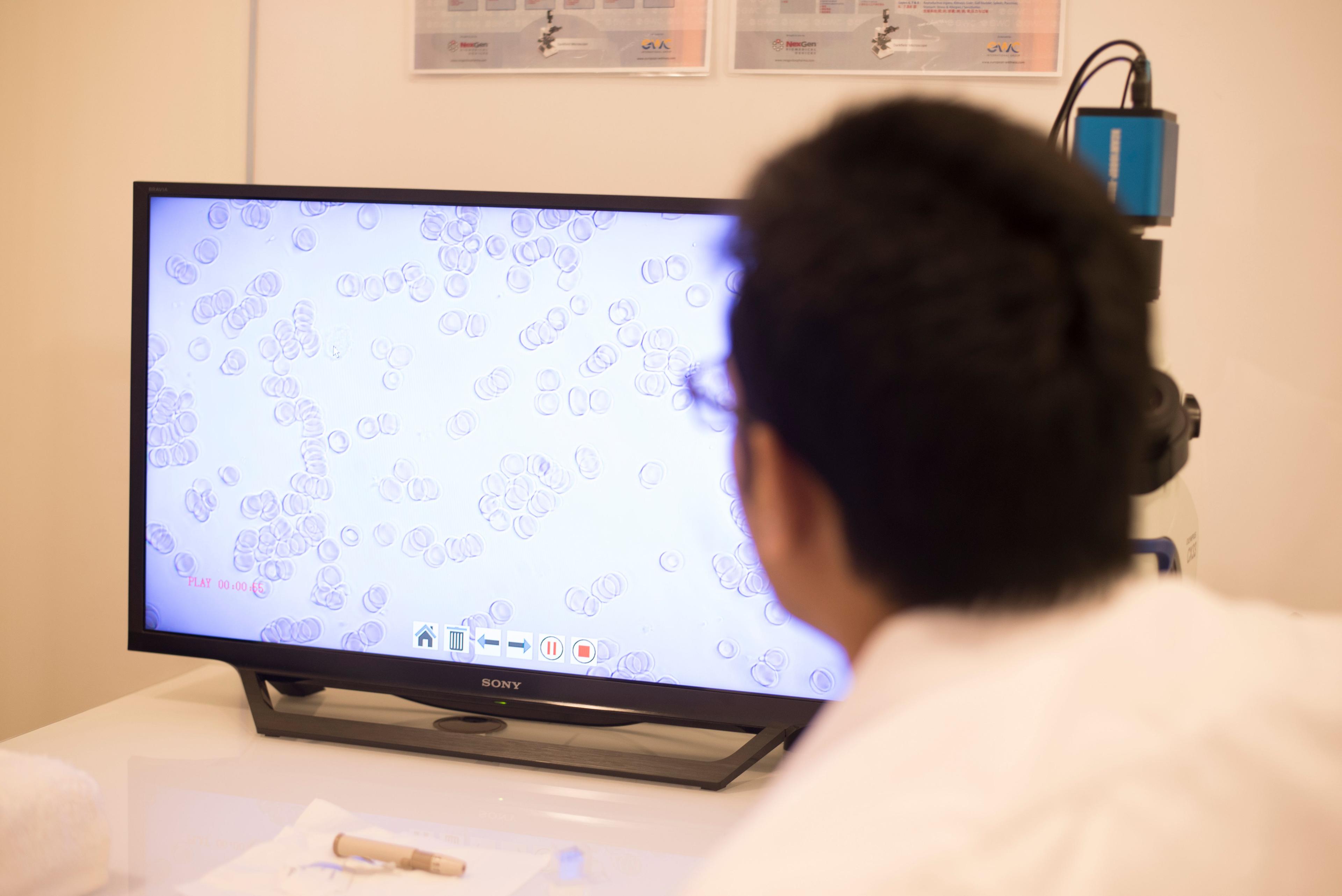 Live Blood Analysis
